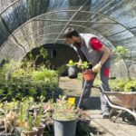 Actividades Auxiliares en Viveros Jardines y Centros de Jardinería